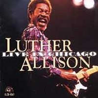 Allison Luther - Live In Chicago in der Gruppe CD bei Bengans Skivbutik AB (4296035)