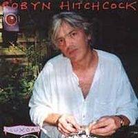 Hitchcock Robyn - Luxor in der Gruppe CD bei Bengans Skivbutik AB (4296058)