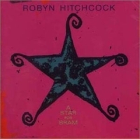 Hitchcock Robyn - A Star For Bram in der Gruppe CD bei Bengans Skivbutik AB (4296085)