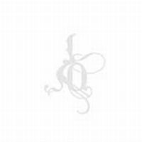 Zorn John - I.A.O. in der Gruppe CD / Pop-Rock bei Bengans Skivbutik AB (4296096)