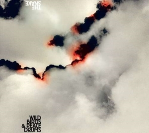 Wildbirds & Peacedrums - The Snake in der Gruppe CD / Pop-Rock bei Bengans Skivbutik AB (4296170)