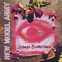 New Model Army - Strange Brotherhood in der Gruppe CD / Pop-Rock bei Bengans Skivbutik AB (4296173)