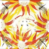 Alabaster Deplume - Come With Fierce Grace in der Gruppe VINYL / Jazz bei Bengans Skivbutik AB (4296418)