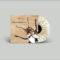 Splendidula - Splendidula (Milky Clear W/ Gold Sp in der Gruppe VINYL / Hårdrock bei Bengans Skivbutik AB (4298317)