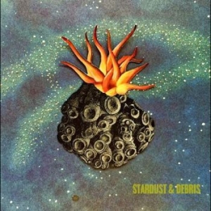 Wenglén Lotta - Stardust & Debris in der Gruppe CD / Pop-Rock bei Bengans Skivbutik AB (4300242)