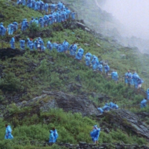 Barnett Courtney - End Of The Day (Music From The Film in der Gruppe VINYL / Film-Musikal bei Bengans Skivbutik AB (4300369)