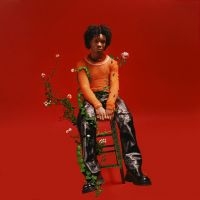 D4vd - Petals To Thorns in der Gruppe VINYL / Pop-Rock bei Bengans Skivbutik AB (4300568)