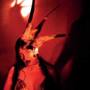 Lobo Fran - Burning It Feels Like in der Gruppe Övrigt /  bei Bengans Skivbutik AB (4301033)