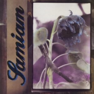 Samiam - Samiam (Splatter Vinyl) in der Gruppe VINYL / Hårdrock bei Bengans Skivbutik AB (4302086)