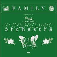 Gard Nilssen's Supersonic Orchestra - Family in der Gruppe VINYL / Jazz bei Bengans Skivbutik AB (4302264)