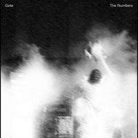 Gate - The Numbers in der Gruppe VINYL bei Bengans Skivbutik AB (4302266)