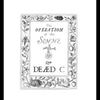 Dead C. - Operation Of The Sonne in der Gruppe VINYL bei Bengans Skivbutik AB (4302272)