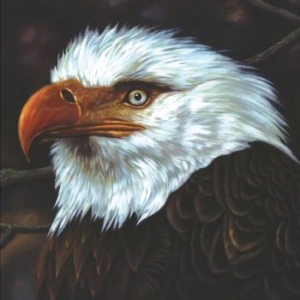 Mogwai - The Hawk Is Howling in der Gruppe Minishops / Mogwai bei Bengans Skivbutik AB (4302978)