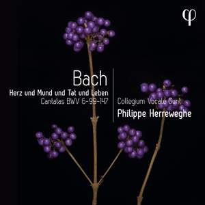Bach Johann Sebastian - Herz Und Mund Und Tat Und Leben - C in der Gruppe CD bei Bengans Skivbutik AB (4303083)