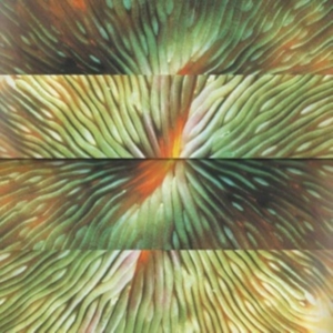 Active Surplus - Mirroring in der Gruppe VINYL / Pop-Rock bei Bengans Skivbutik AB (4303757)