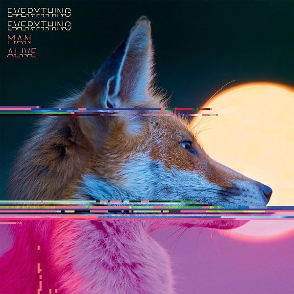 Everything Everything - Man Alive in der Gruppe VINYL / Pop-Rock bei Bengans Skivbutik AB (4304197)