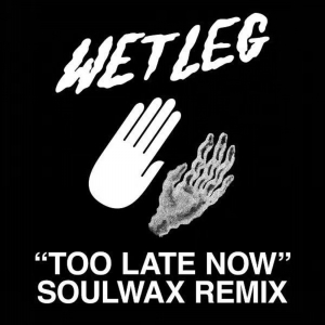 Wet Leg - Too Late Now (Soulwax Remix) in der Gruppe Labels /  bei Bengans Skivbutik AB (4304528)
