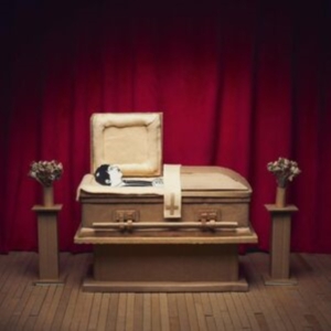 Pepper Gregory & His Problems - No Thanks in der Gruppe VINYL / Hårdrock bei Bengans Skivbutik AB (4306511)