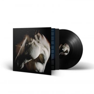 Brother Dege - How To Kill A Horse (Vinyl Lp) in der Gruppe VINYL bei Bengans Skivbutik AB (4308269)