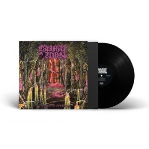Carnal Tomb - Embalmed In Decay (Vinyl Lp) in der Gruppe VINYL / Hårdrock bei Bengans Skivbutik AB (4308277)