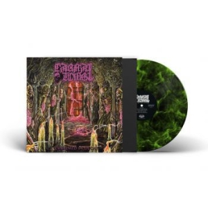 Carnal Tomb - Embalmed In Decay (Lime Marbled Vin in der Gruppe VINYL bei Bengans Skivbutik AB (4308278)