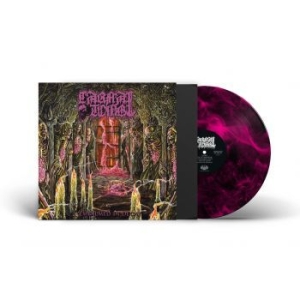 Carnal Tomb - Embalmed In Decay (Magenta Marbled in der Gruppe VINYL / Hårdrock bei Bengans Skivbutik AB (4308279)