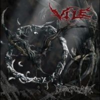Vile - Depopulate (Red/Black Vinyl) in der Gruppe VINYL / Hårdrock bei Bengans Skivbutik AB (4308957)