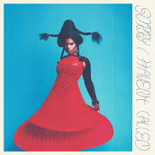 VAGABON - SORRY I HAVEN'T CALLED in der Gruppe VINYL / Pop-Rock bei Bengans Skivbutik AB (4309974)