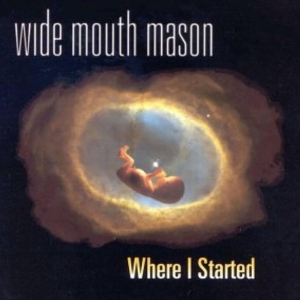 Wide Mouth Mason - Where I Started in der Gruppe VINYL / Pop-Rock bei Bengans Skivbutik AB (4310821)