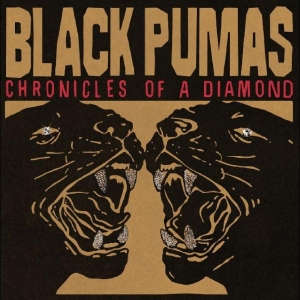Black Pumas - Chronicles Of A Diamond in der Gruppe CD / Pop-Rock,RnB-Soul bei Bengans Skivbutik AB (4310929)