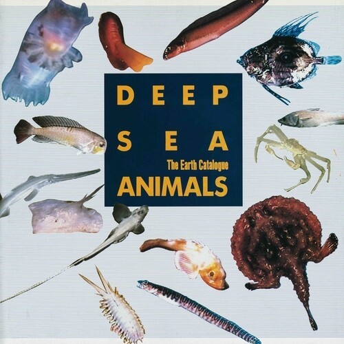 Various Artists - Deep Sea Animals Original Soundtrac in der Gruppe VINYL / Pop bei Bengans Skivbutik AB (4312232)