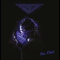 PRIEST - NEW FLESH in der Gruppe CD / Hårdrock,Pop-Rock,Svensk Musik bei Bengans Skivbutik AB (4312247)