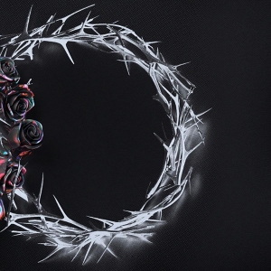 The Rose - Dual in der Gruppe CD bei Bengans Skivbutik AB (4312280)