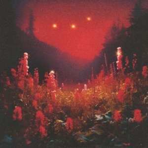 Silent Planet - Superbloom in der Gruppe CD bei Bengans Skivbutik AB (4312578)