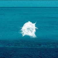 Savy Pascal - Simulacra in der Gruppe CD bei Bengans Skivbutik AB (4312976)