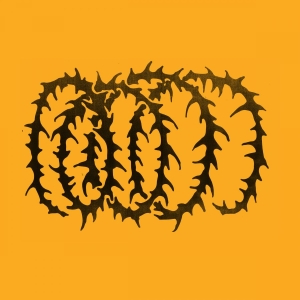 Hotline Tnt - Cartwheel in der Gruppe VINYL / Pop-Rock bei Bengans Skivbutik AB (4313232)