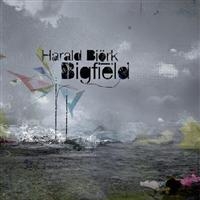 Björk Harald - Bigfield in der Gruppe CD / Dance-Techno bei Bengans Skivbutik AB (4313259)