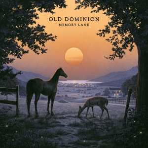 Old Dominion - Memory Lane in der Gruppe CD bei Bengans Skivbutik AB (4313854)