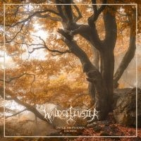 Waldgeflüster - Unter Bronzenen Kronen (Vinyl Lp) in der Gruppe VINYL bei Bengans Skivbutik AB (4314245)