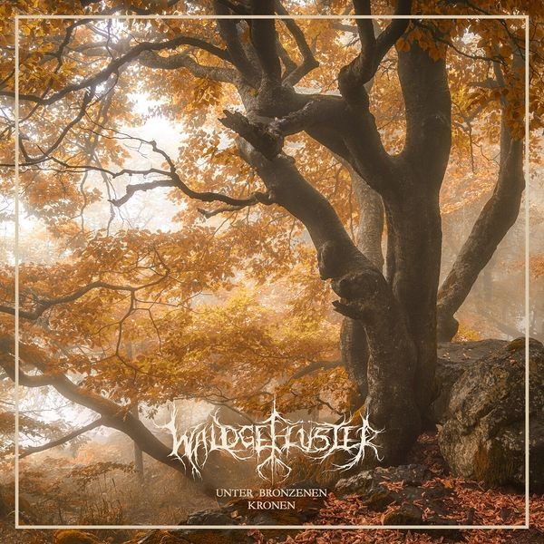 Waldgeflüster - Unter Bronzenen Kronen (Vinyl Lp) in der Gruppe VINYL / Hårdrock/ Heavy metal bei Bengans Skivbutik AB (4314245)