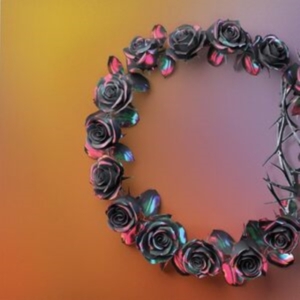 The Rose - Dual (Dawn) in der Gruppe CD / Pop-Rock bei Bengans Skivbutik AB (4314272)