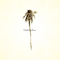 Patrick Watson - Wooden Arms in der Gruppe VINYL / Bestseller bei Bengans Skivbutik AB (4314287)