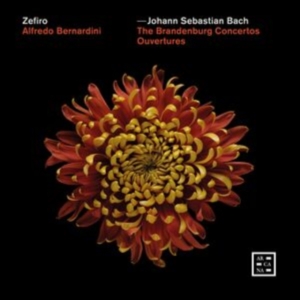 Bach Johann Sebastian - The Brandenburg Concertos - Ouvertu in der Gruppe CD bei Bengans Skivbutik AB (4314614)