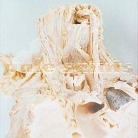 Pale Saints - In Ribbons (Black Vinyl) in der Gruppe VINYL / Bestseller bei Bengans Skivbutik AB (4315251)