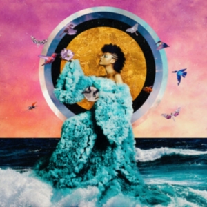 Allison Russell - The Returner in der Gruppe VINYL bei Bengans Skivbutik AB (4315469)