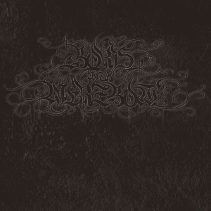 Boris With Merzbow - 4092001 in der Gruppe VINYL / Hårdrock bei Bengans Skivbutik AB (4316455)