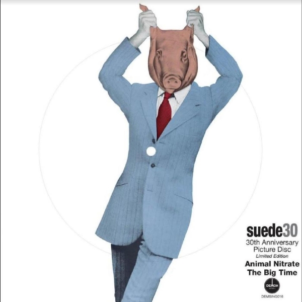 Suede - Animal Nitrate (30Th Anniversary - Limited Picture Disc) in der Gruppe VINYL / Pop-Rock bei Bengans Skivbutik AB (4316461)