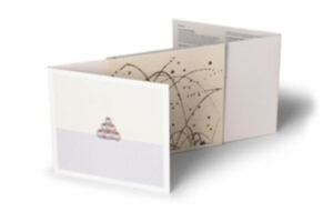 Mount Kimbie - MK 3.5: Die Cuts/City Planning in der Gruppe Övrigt /  bei Bengans Skivbutik AB (4319517)