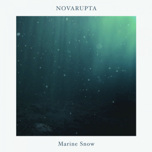 Novarupta - Marine Snow in der Gruppe UNSERE TIPPS / Bengans Vertrieb bei Bengans Skivbutik AB (4324160)