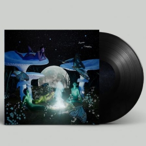 Aasma - Campfire in der Gruppe VINYL / Svensk Musik bei Bengans Skivbutik AB (4340959)